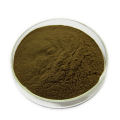 Most Powerful Multi-function Organic Polysaccharide Chaga Mushroom Extract Powder